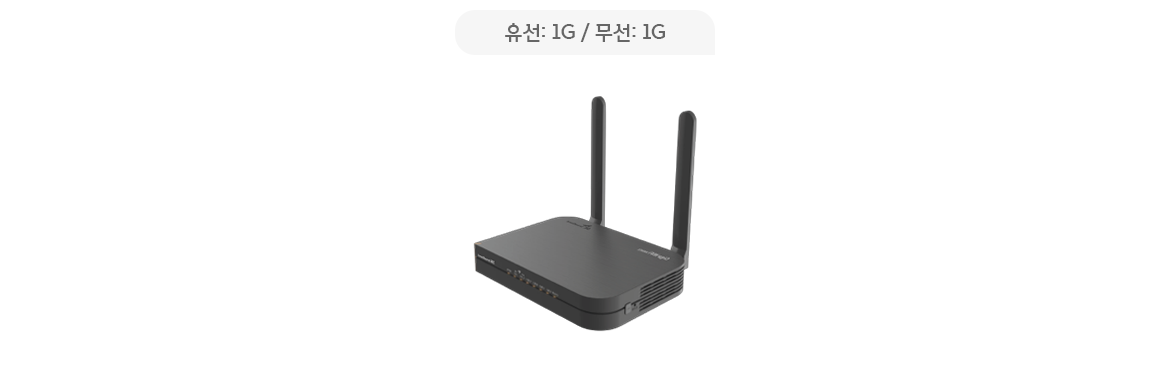 유선: 1G / 무선: 1G